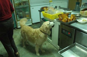 1380944916-3994209308