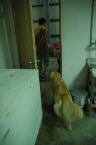 1380944917-1685710157