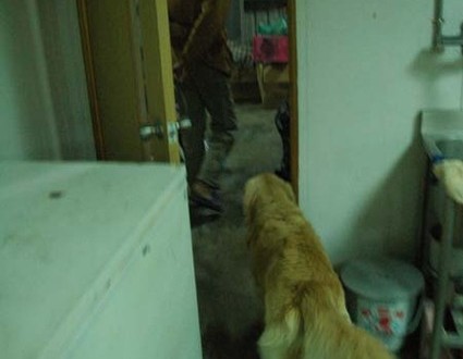 1380944917-1685710157