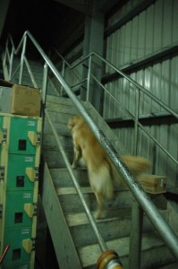 1380944917-2750084077