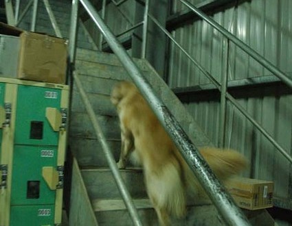 1380944917-2750084077