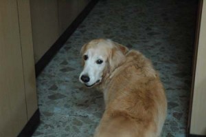 1380944917-593106644