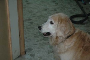 1380944918-3229157159