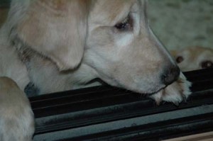 1380944918-3634100413