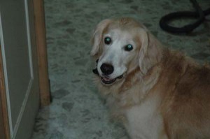 1380944918-987572169