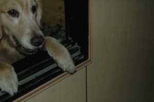 1380944919-2675092910