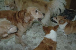 1380944920-1168027158