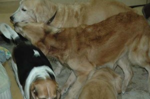 1380944920-2414179398