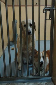 1380944921-348509616