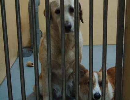 1380944921-348509616