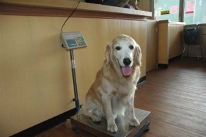 1380944933-3791476041