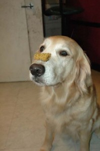 1380944934-1946718554