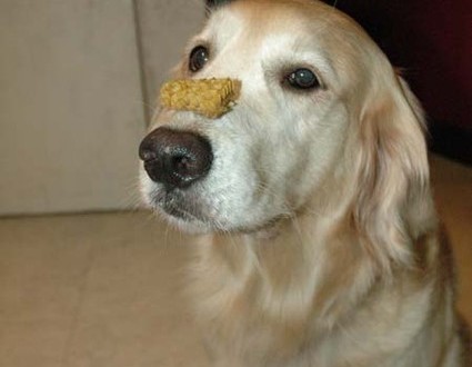 1380944934-1946718554