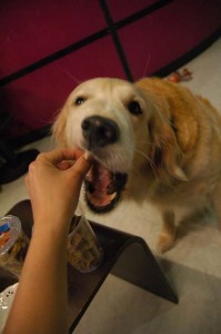 1380944935-2089914036