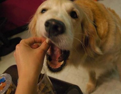 1380944935-2089914036