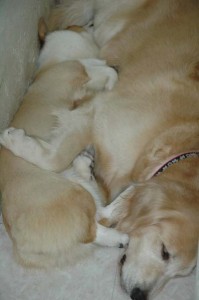 1380944945-4081874457