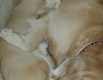 1380944945-4081874457