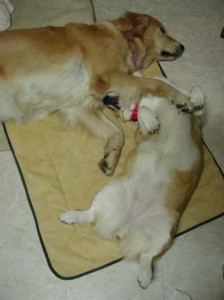 1380944945-580219550