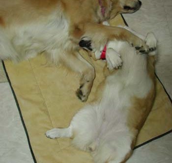 1380944945-580219550