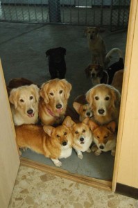 1380944957-2283880600