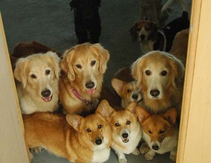 1380944957-2283880600