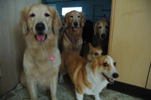 1380944958-1454278515