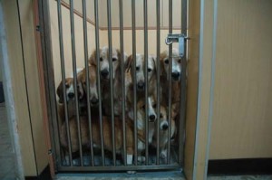 1380944958-1563553982