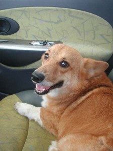 1380944958-1644617481