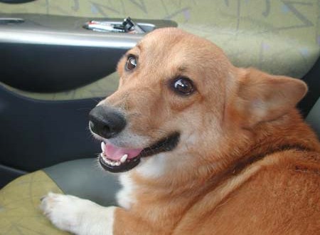 1380944958-1644617481