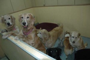 1380944959-2476414261