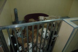 1380944959-3153468138