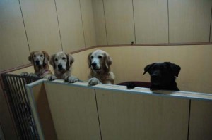 1380944960-2129955574