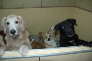 1380944960-3691488547