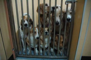 1380944961-3003089215