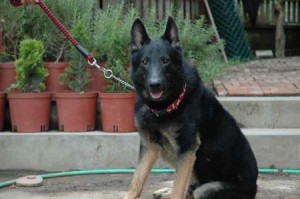 1380944962-3776540012