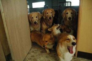 1380944962-3924624743