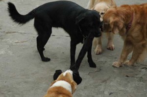 1380944983-3434842194