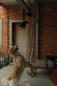 1380944984-3308502693