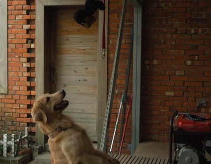 1380944984-3308502693