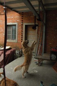 1380944985-2212291007