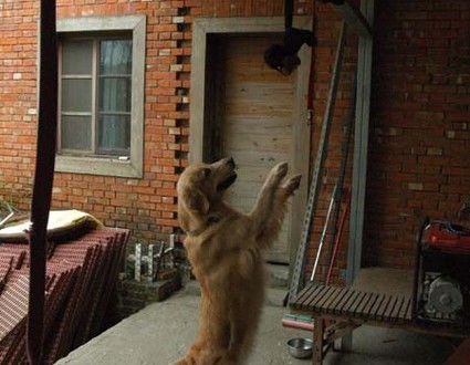 1380944985-2212291007