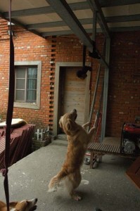 1380944985-2355384804