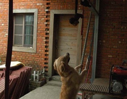 1380944985-2355384804