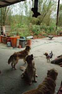 1380944985-3192001910