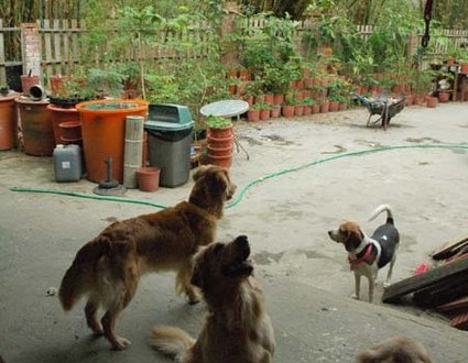 1380944985-3192001910