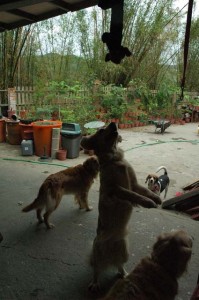 1380944986-1794759393