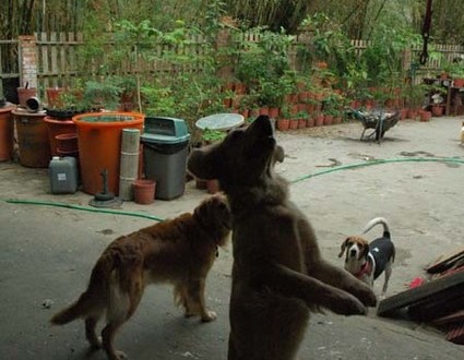 1380944986-1794759393