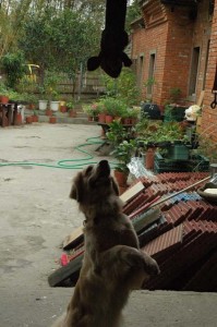 1380944986-2448374274