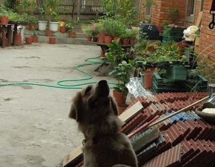 1380944986-2448374274