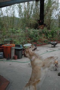 1380944986-3854204001